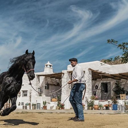 Rizes Mykonos - Folklore Farmstead Mykonos Town Экстерьер фото