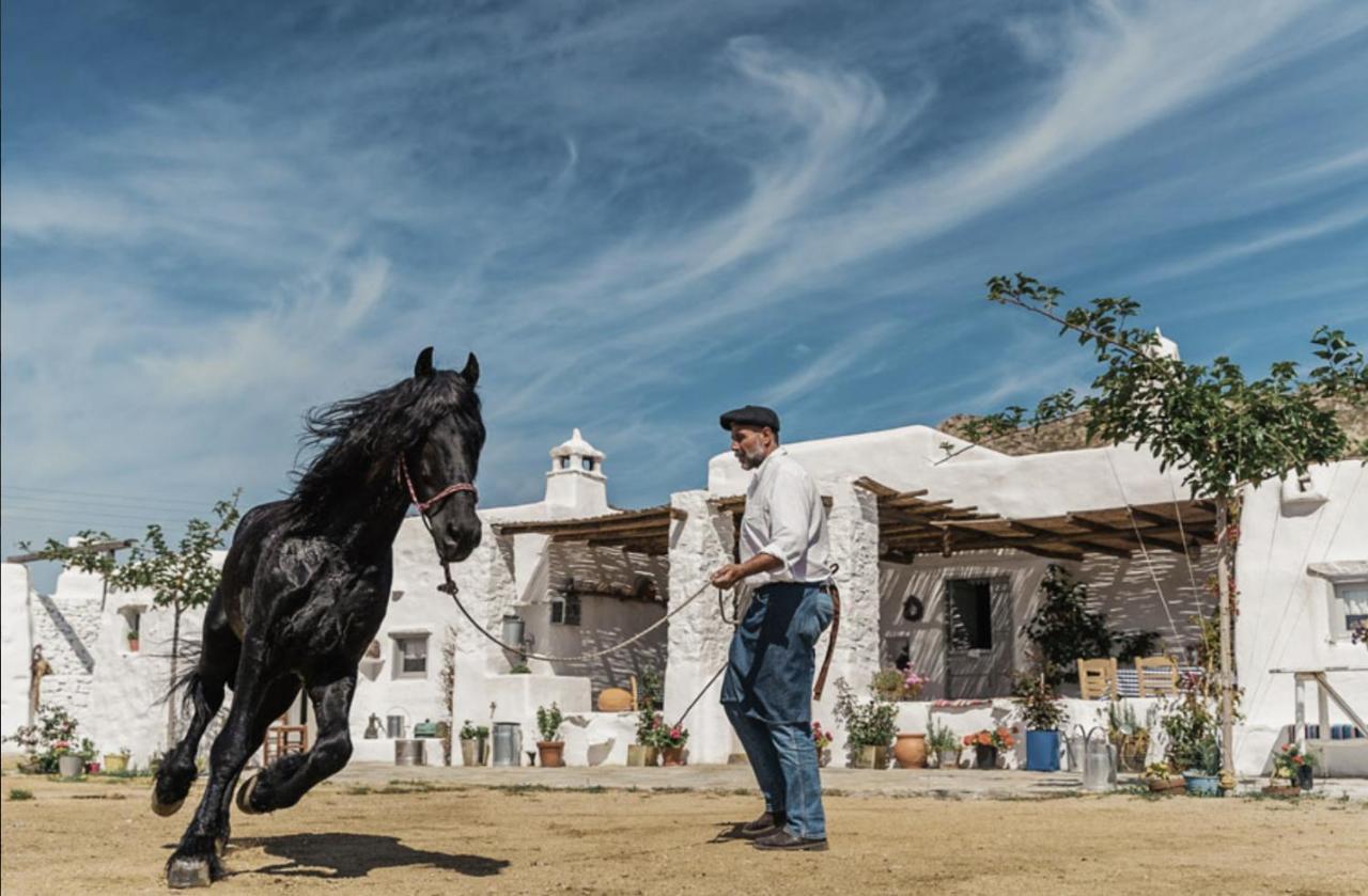 Rizes Mykonos - Folklore Farmstead Mykonos Town Экстерьер фото